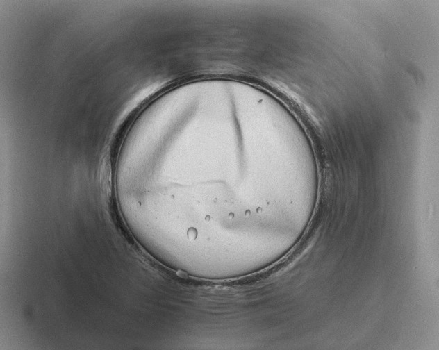 X0000116641317201001041023