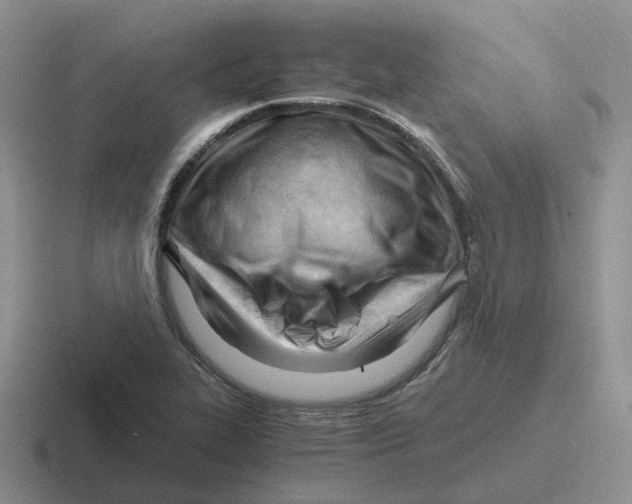 X0000116641319201001041023