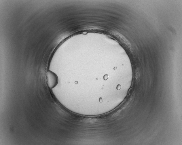 X0000116641321201001041023