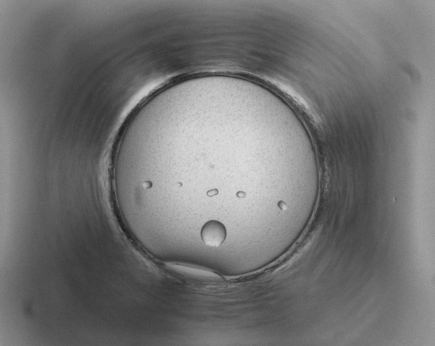 X0000116641325201001041023