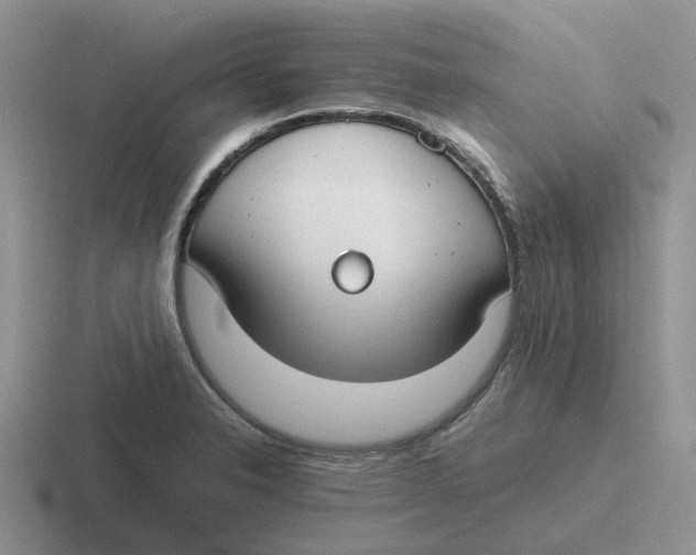 X0000116641326201001041023