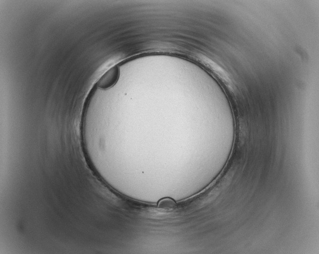 X0000116641330201001041023