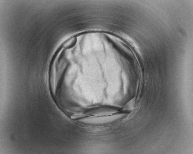 X0000116641334201001041023