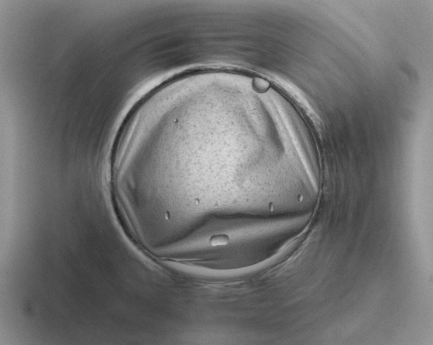 X0000116641335201001041023