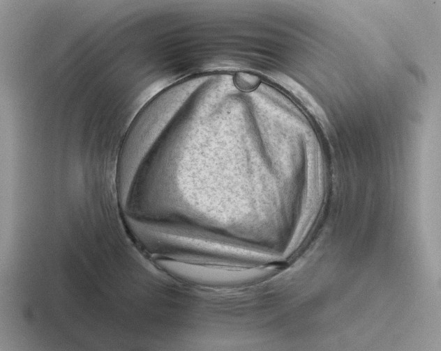 X0000116641337201001041023