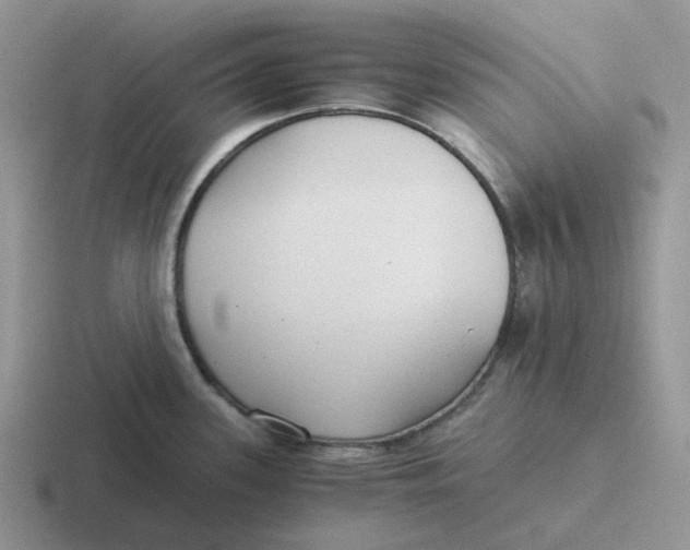 X0000116641339201001041023