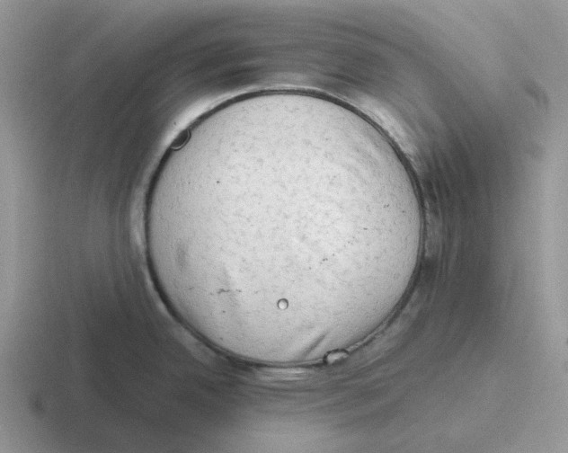 X0000116641342201001041023