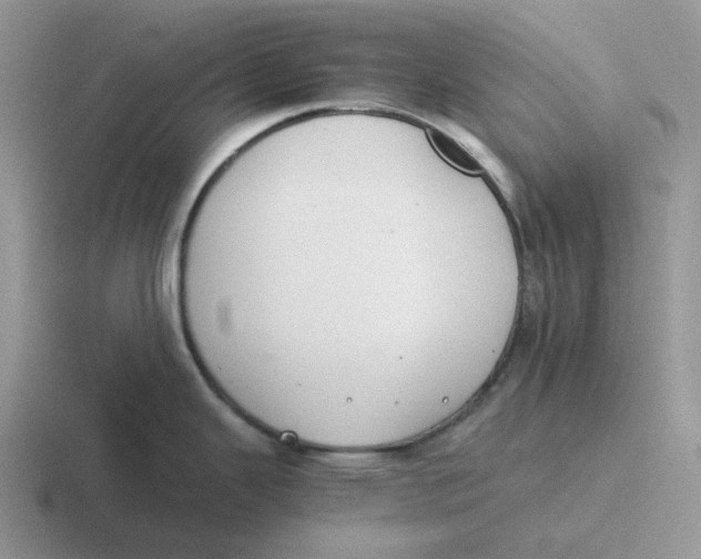 X0000116641343201001041023