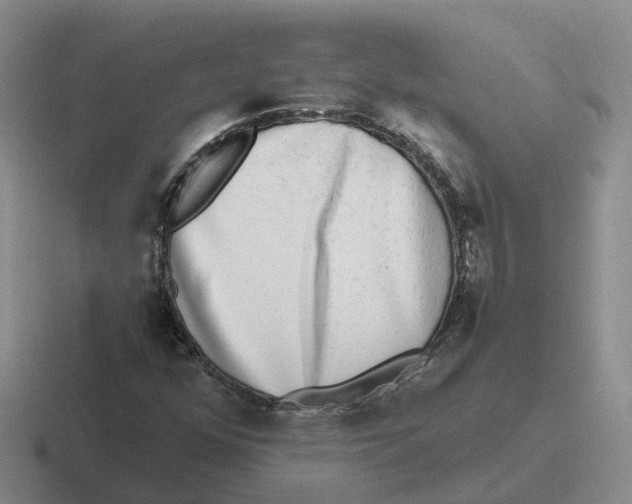 X0000116641352201001041023