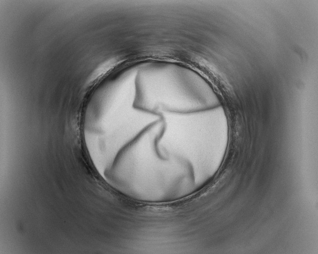 X0000116641354201001041023