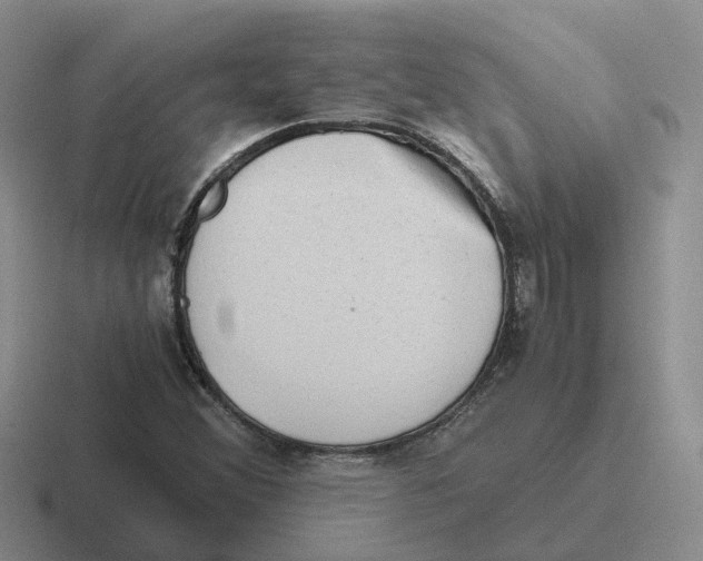 X0000116641356201001041023