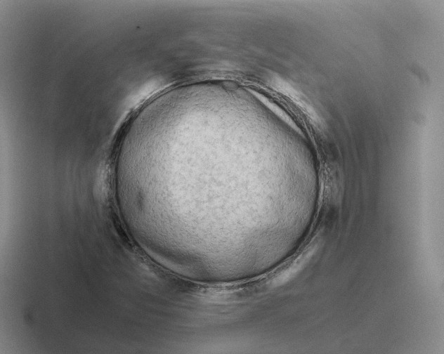 X0000116641357201001041023