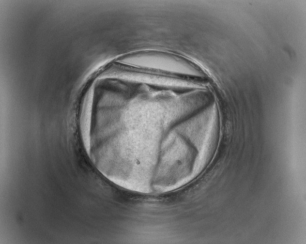 X0000116641359201001041023