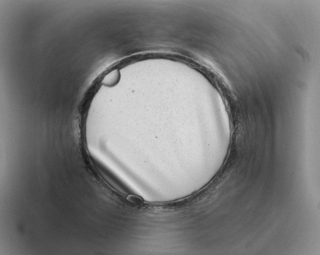 X0000116641360201001041023