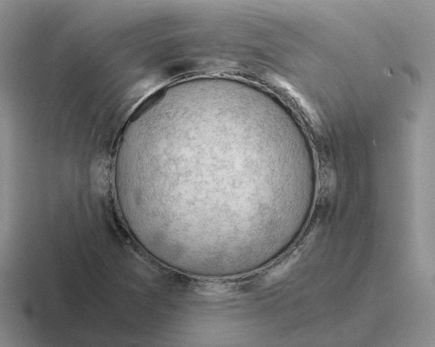 X0000116641361201001041023