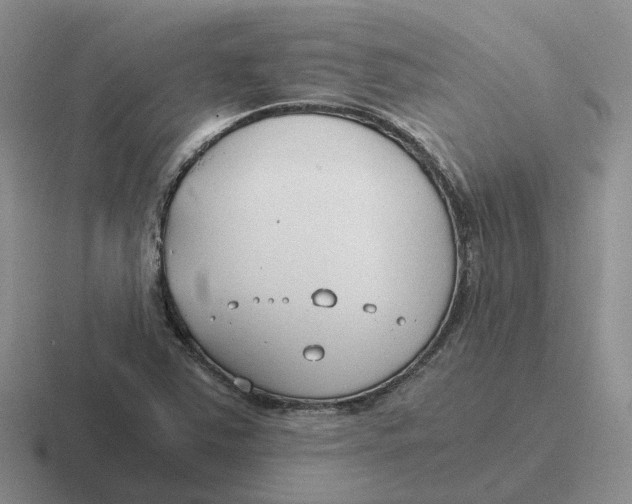 X0000116641363201001041023