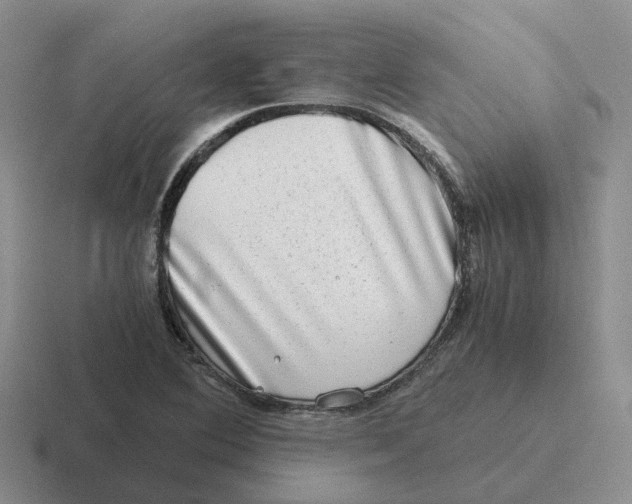 X0000116641364201001041023