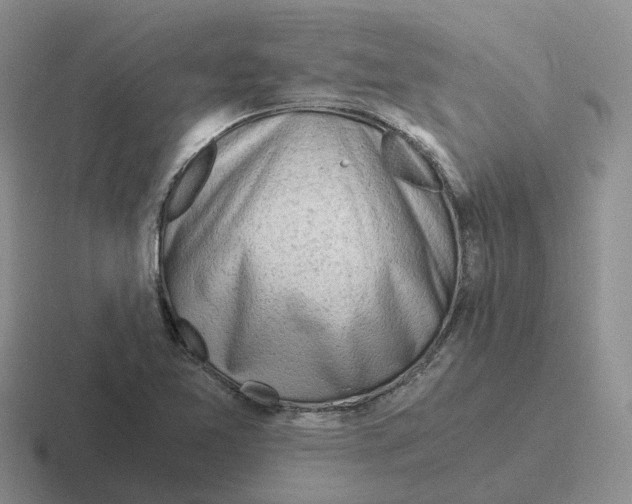 X0000116641365201001041023