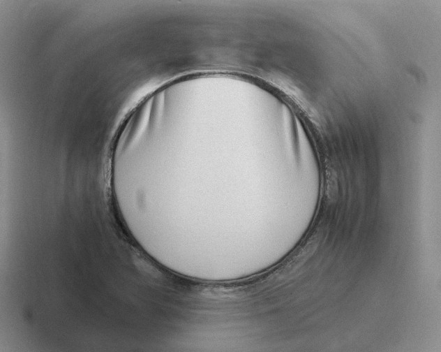 X0000116641366201001041023