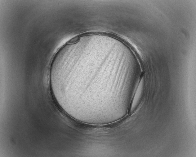 X0000116641367201001041023