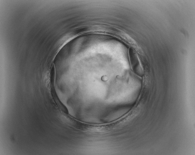 X0000116641369201001041023