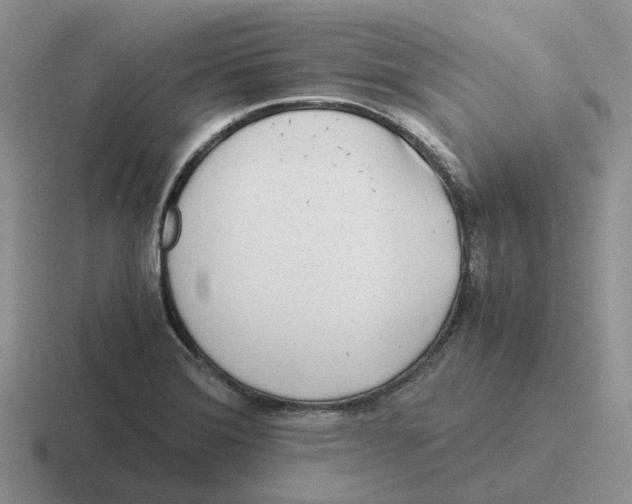 X0000116641372201001041022