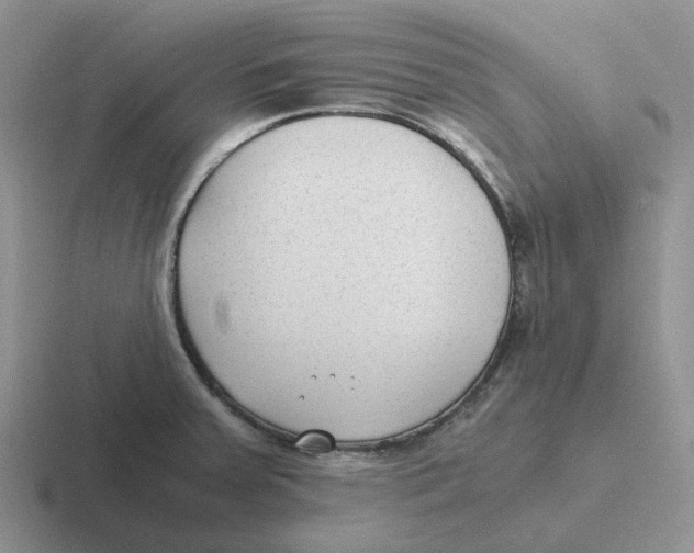 X0000116641379201001041022