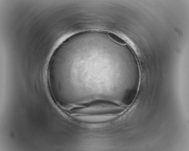 X0000116641381201001041022