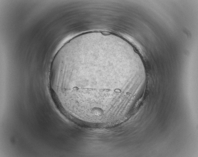 X0000116641383201001041022