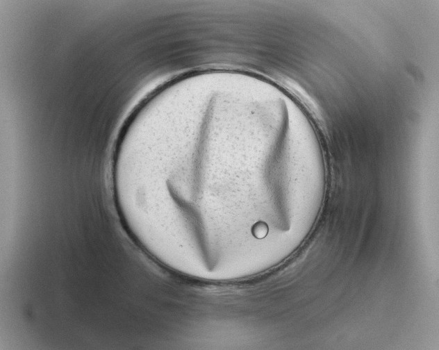 X0000116641384201001041022