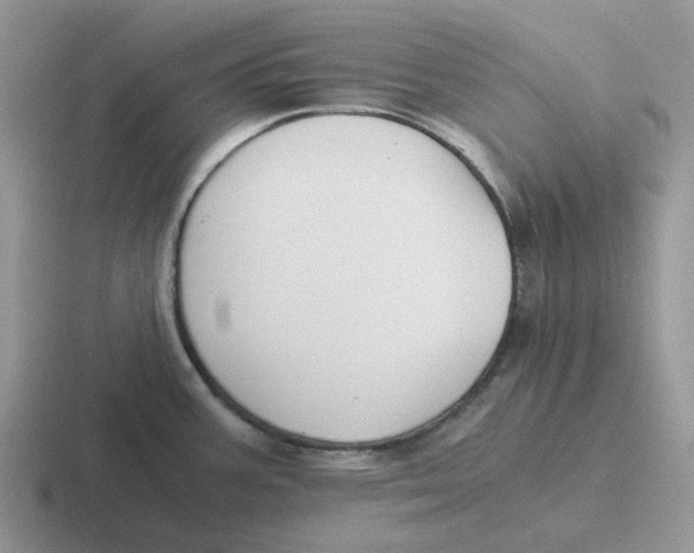 X0000116641387201001041022