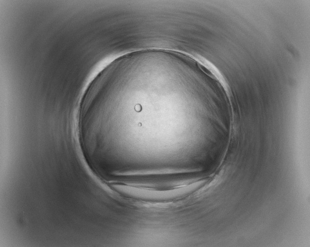 X0000116641389201001041022