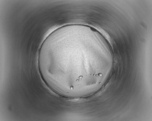 X0000116641390201001041022