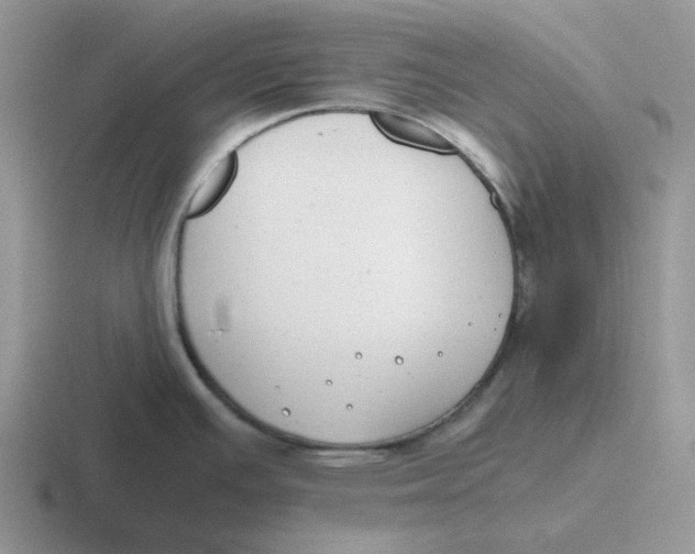 X0000116641391201001041022