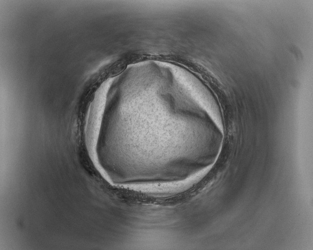 X0000116641398201001041022