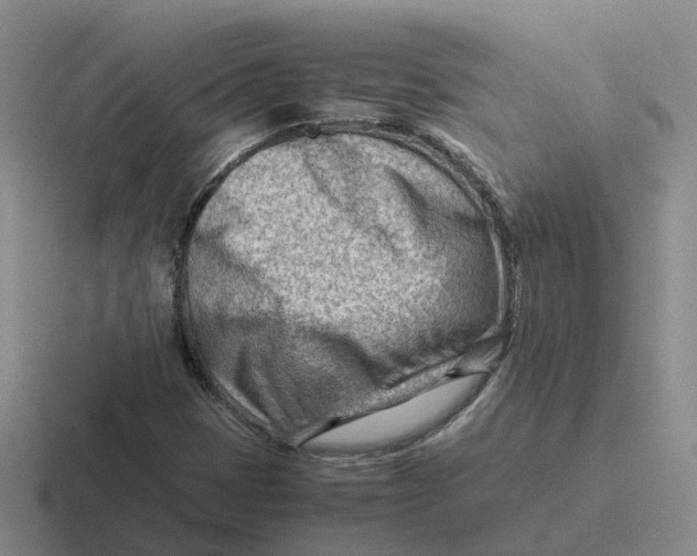 X0000116641401201001041022