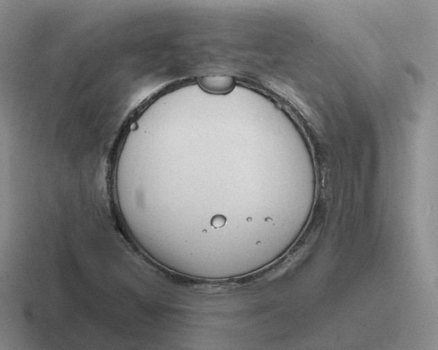 X0000116641404201001041022