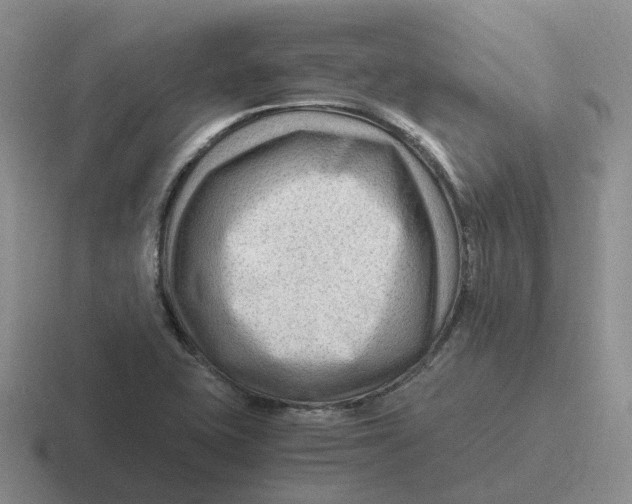 X0000116641415201001041022