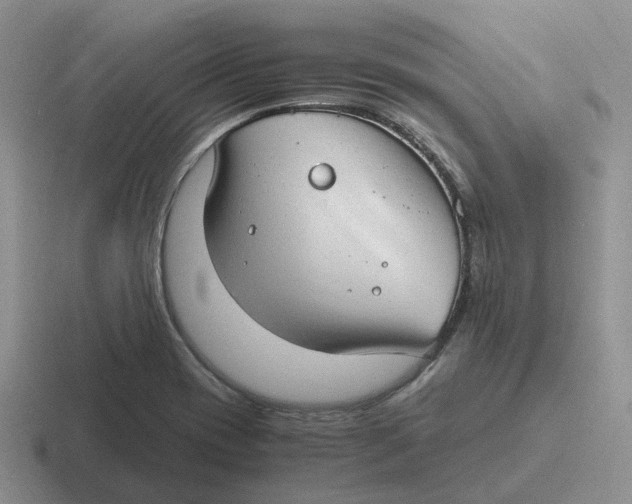 X0000116641417201001041022