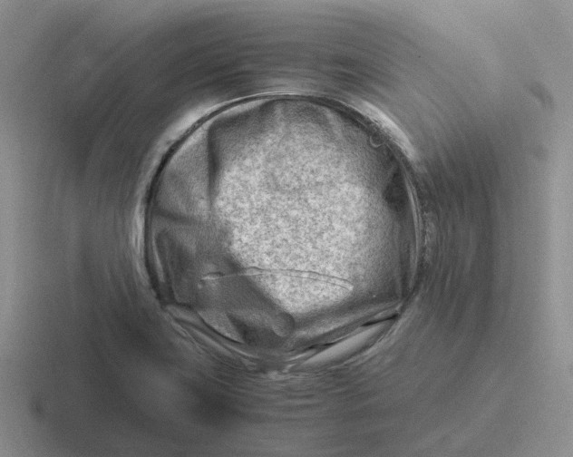 X0000116641419201001041022