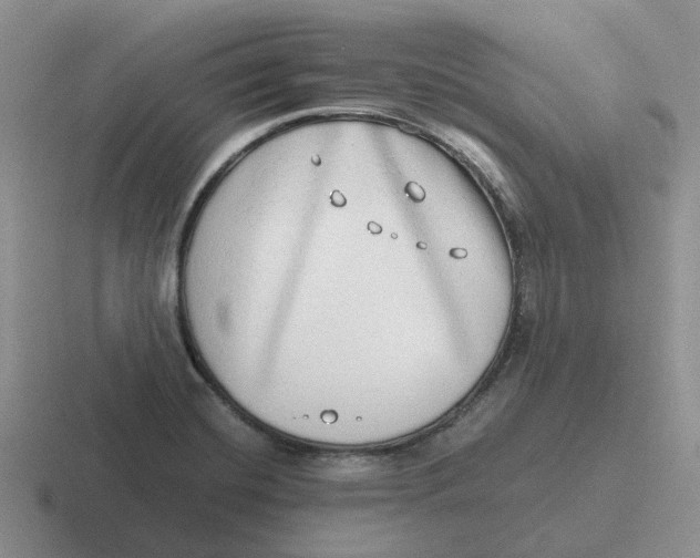 X0000116641420201001041022