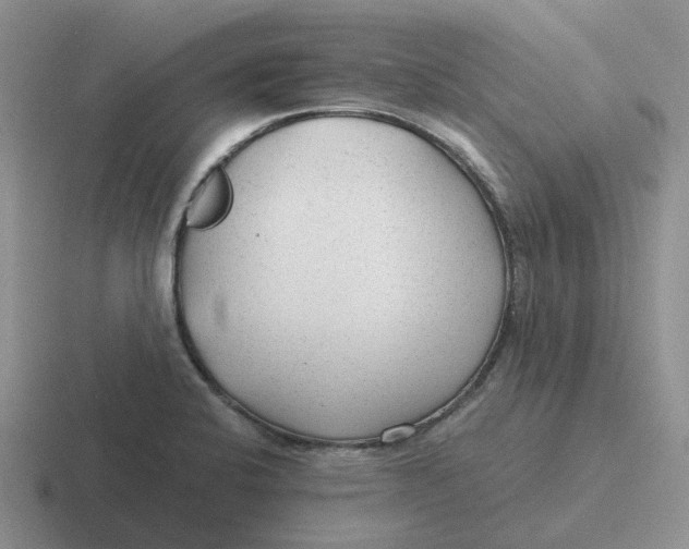 X0000116641424201001041022