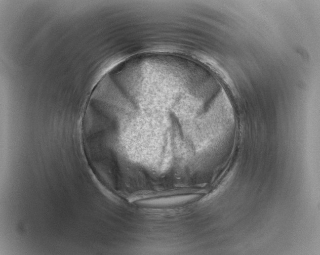 X0000116641425201001041022