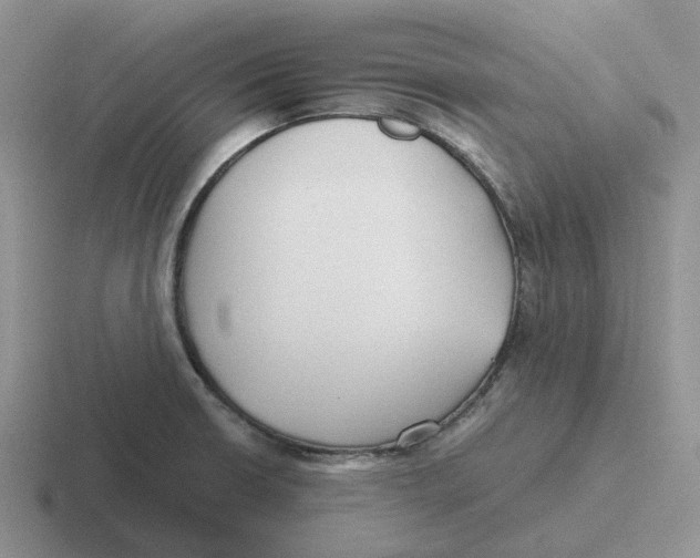 X0000116641426201001041022