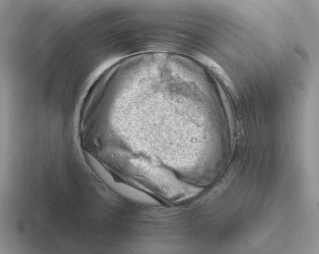 X0000116641427201001041022