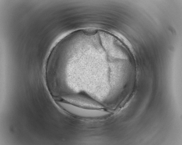 X0000116641429201001041022