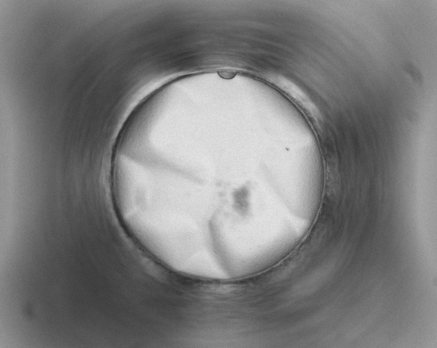 X0000116641431201001041022