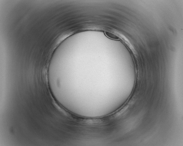 X0000116641433201001041022