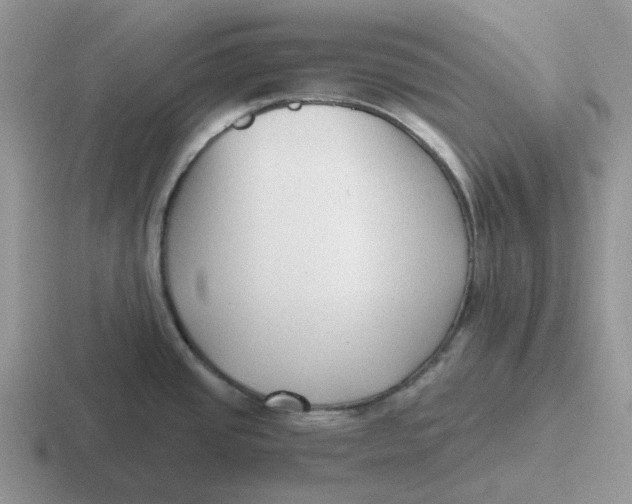 X0000116641437201001041022