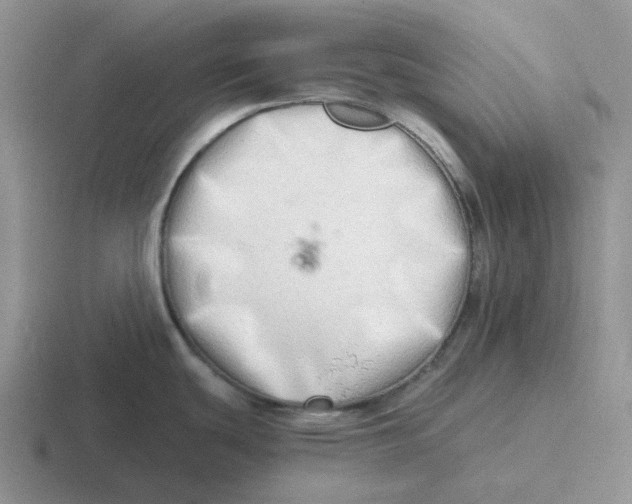 X0000116641439201001041022